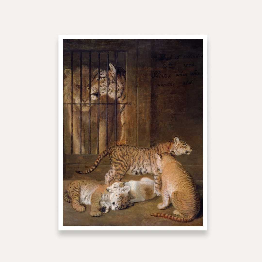 Tiger Cubs Painting for Living Room | Vintage Wildlife Wall Art | Giclée Fine Art Print 5 : 6 Vertical Premium Wall Art Canvas by MeriDeewar