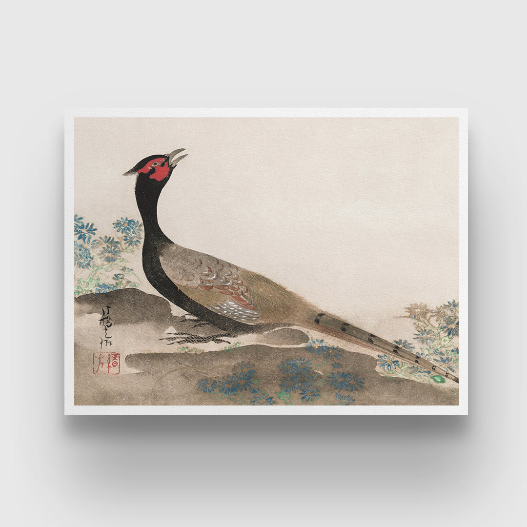 Pheasant by Ogata Korin