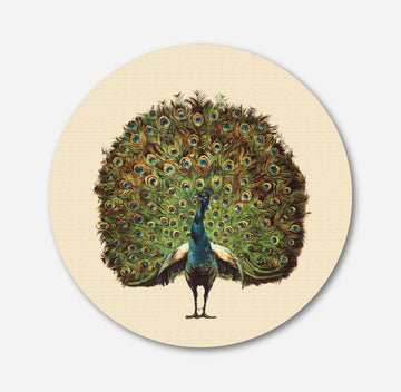 Beautiful peacock Circular Canvas Frame