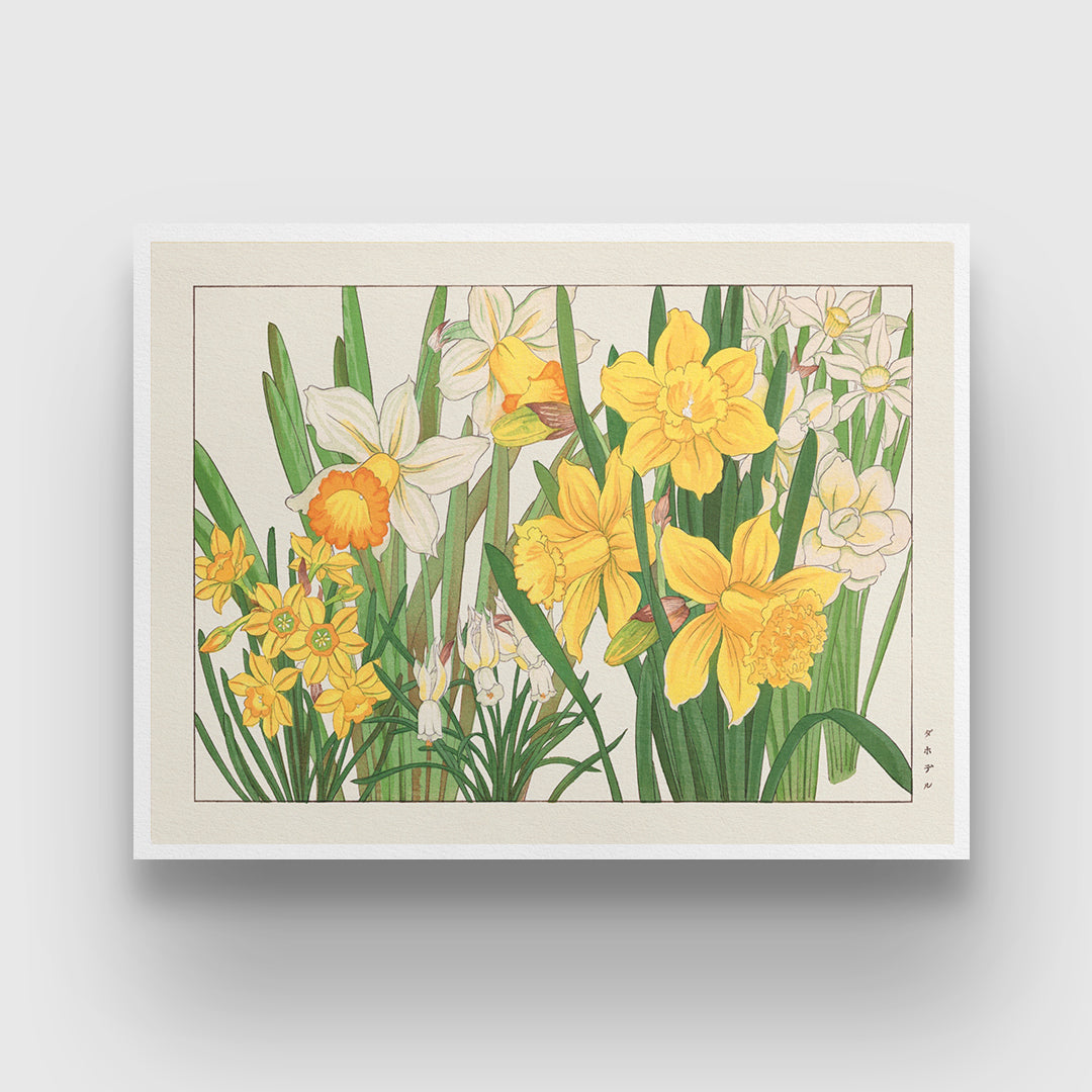 Daffodil Flower Painting