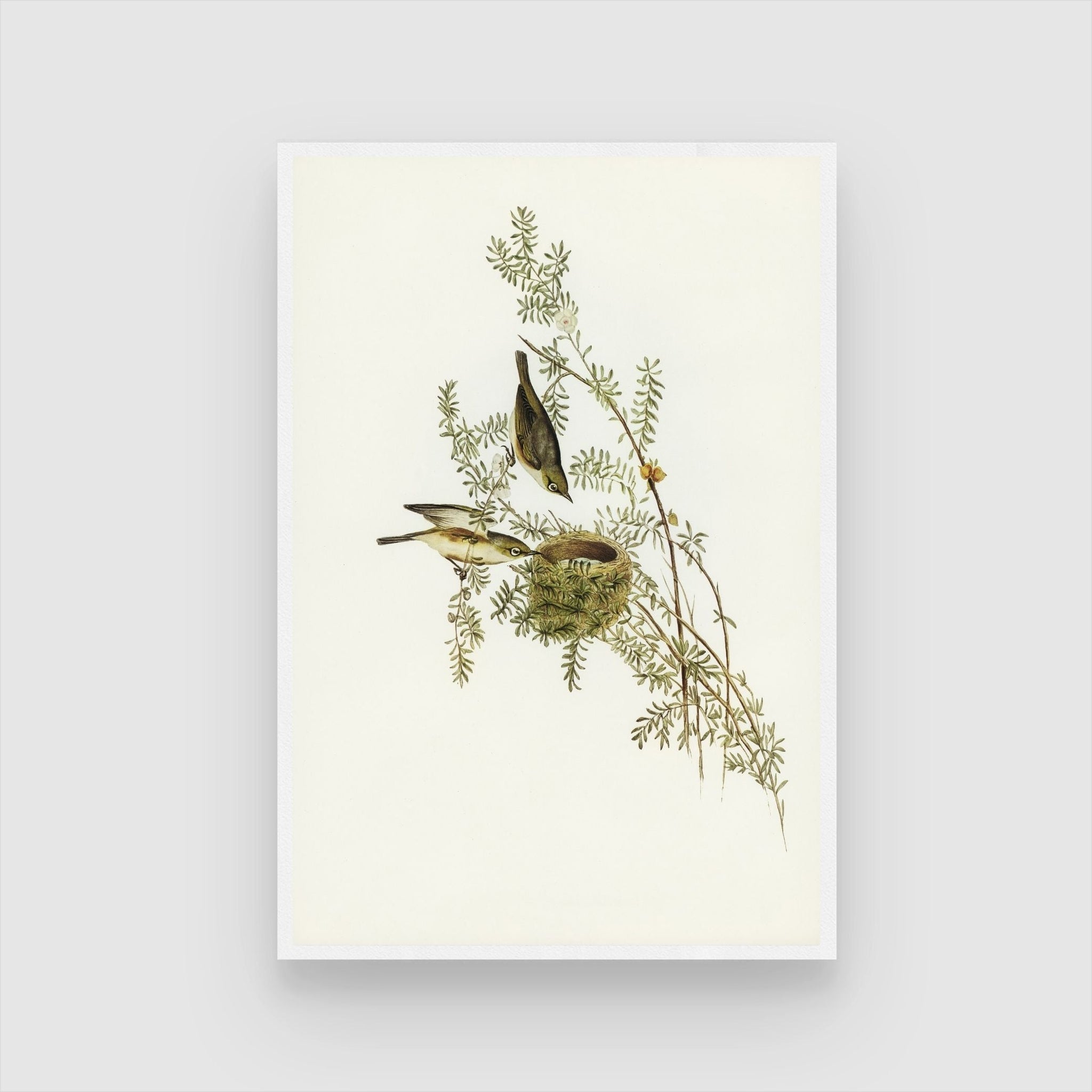 Birds Habitat Wall Art: Elegant Nature-Inspired Decor