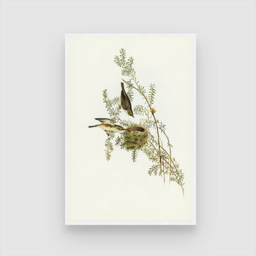 Birds Habitat Wall Art: Elegant Nature-Inspired Decor