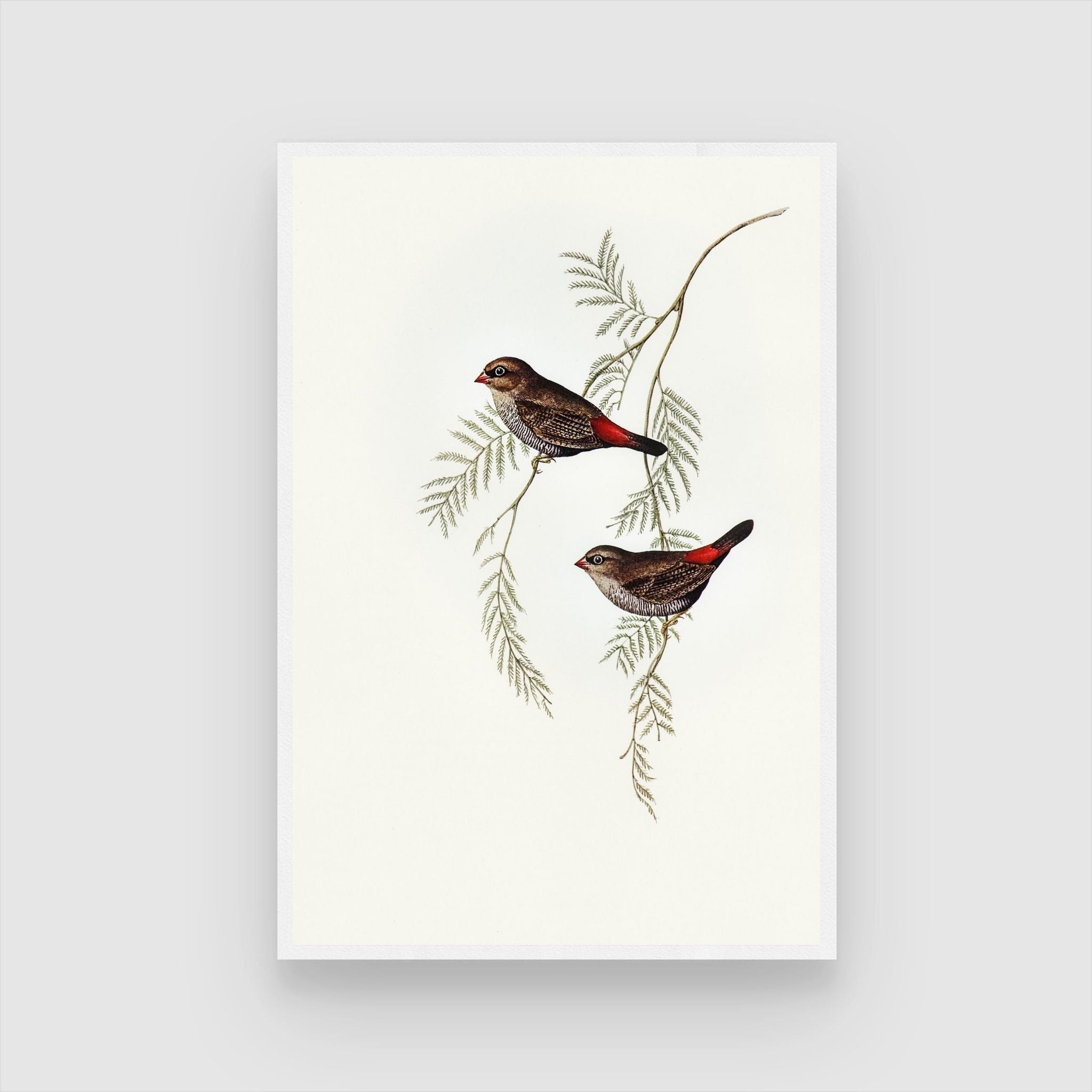 Peaceful Birds on Branch Canvas - Artistic Wall Decor - MeriDeewar
