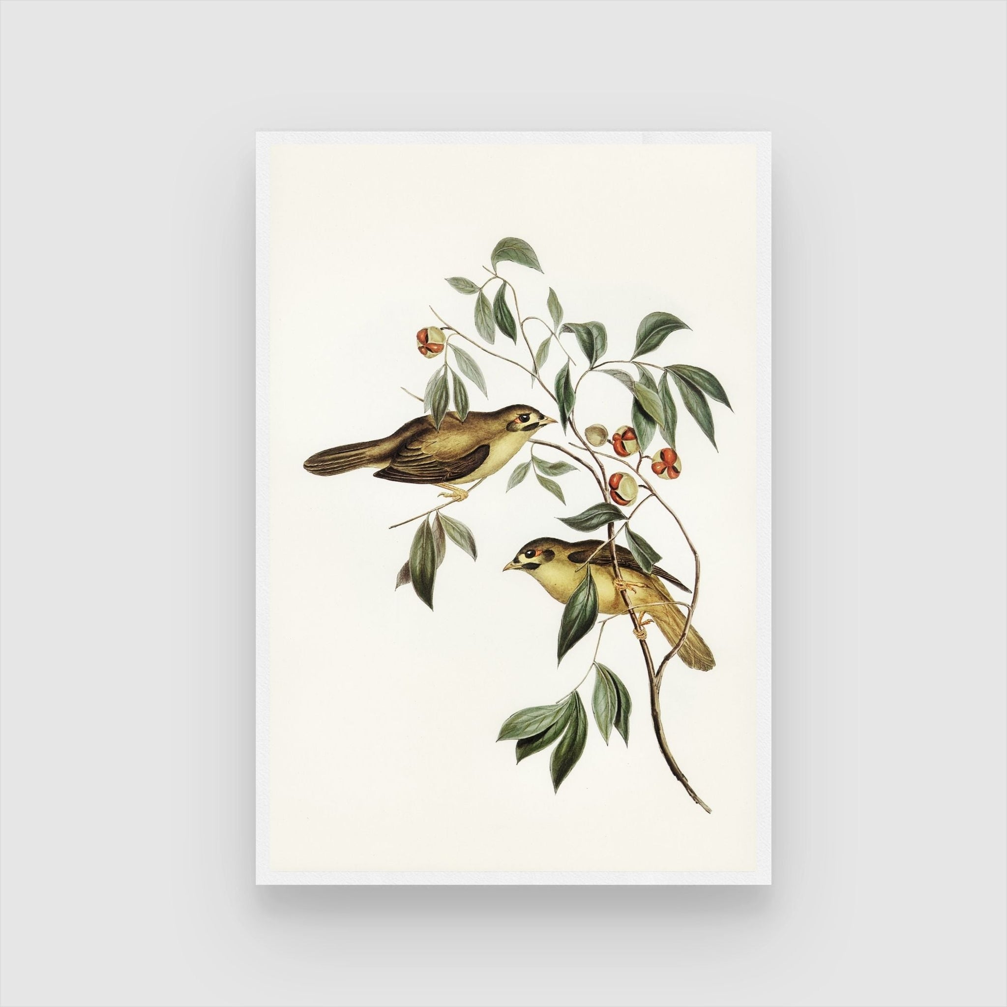 Colorful Bird & Berries Canvas: Unique Wall Art for Living Room