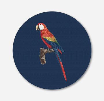 Red and Green Macaw Painting Circular Canvas Frame