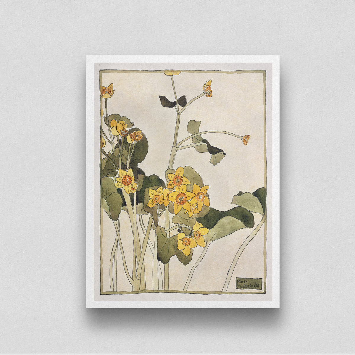 Yellow Flowers/ Marsh Marigold by Hannah Borger