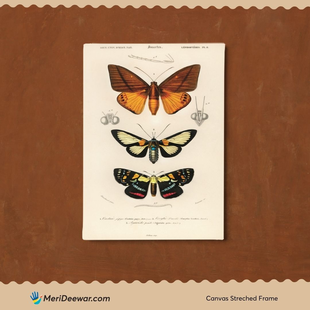 Butterflies Artwork 2