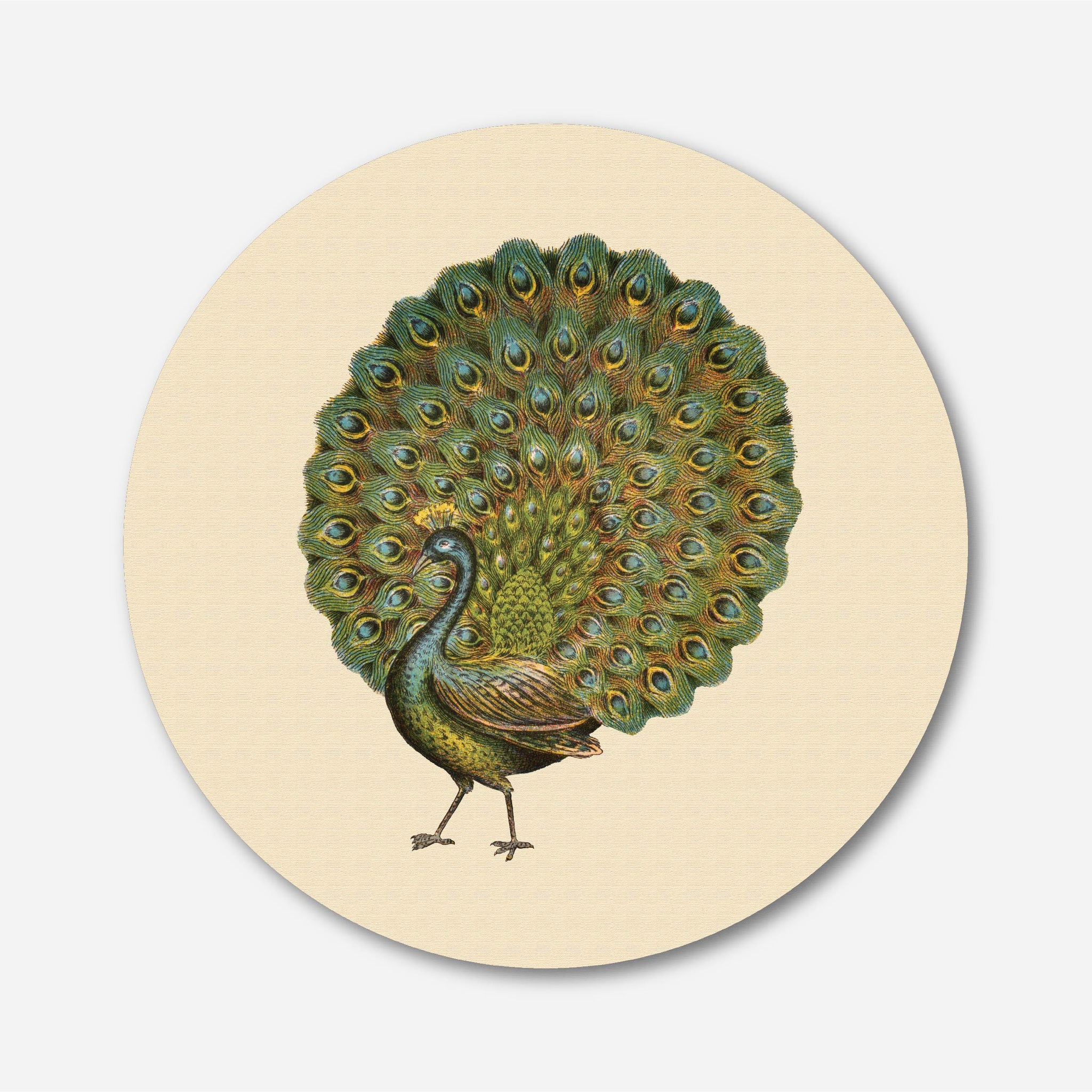 Peacock Painting Circular Canvas Frame