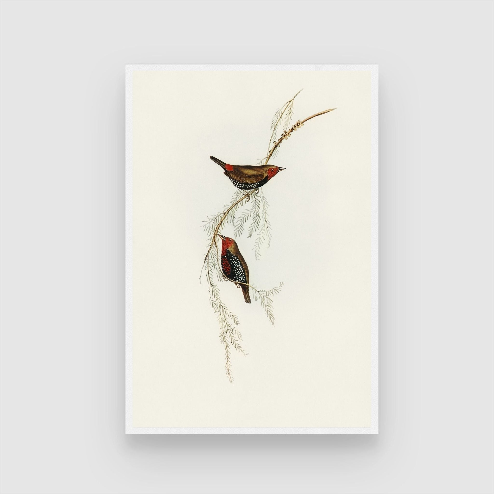 Serene Bird and Botanical Canvas Art: Add Natural Beauty
