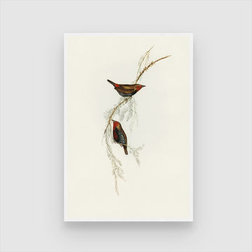 Serene Bird and Botanical Canvas Art: Add Natural Beauty