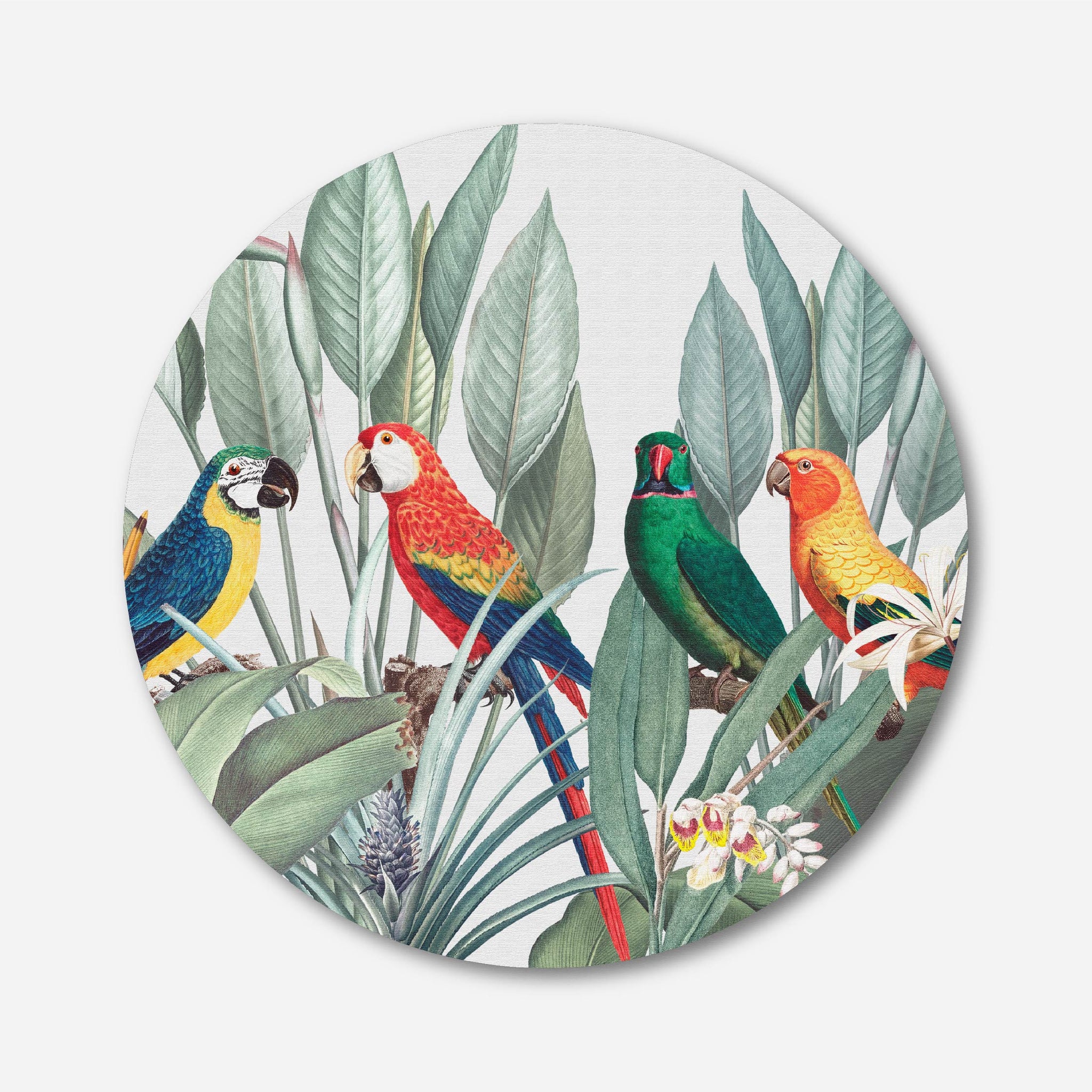 Beautiful Colorful Parrot Macaw tropical Bird on Nature Background Circular Canvas Frame