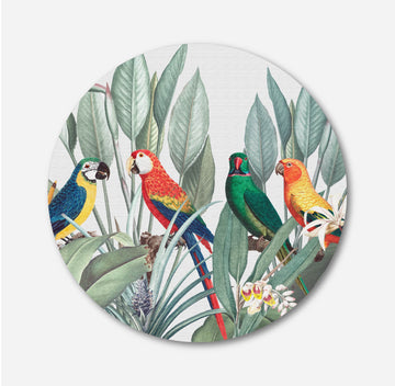 Beautiful Colorful Parrot Macaw tropical Bird on Nature Background Circular Canvas Frame