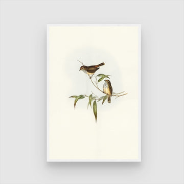 Beautiful Bird Painting: Vibrant Wall Art for Your Home