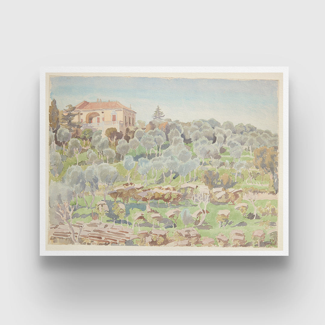 Hillside with olive trees and a villa Painting by Peter Hansen