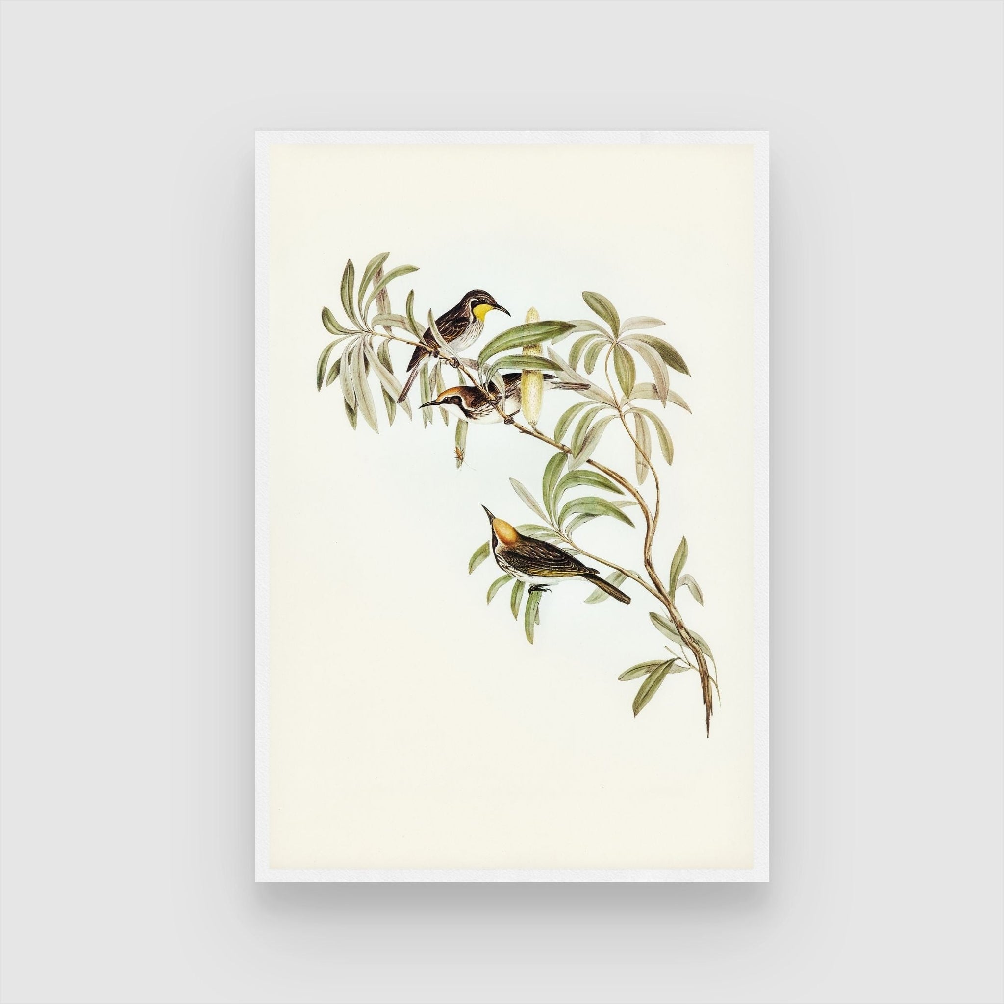 Birds on Tree Canvas Art - Perfect for Living Rooms