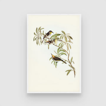 Birds on Tree Canvas Art - Perfect for Living Rooms
