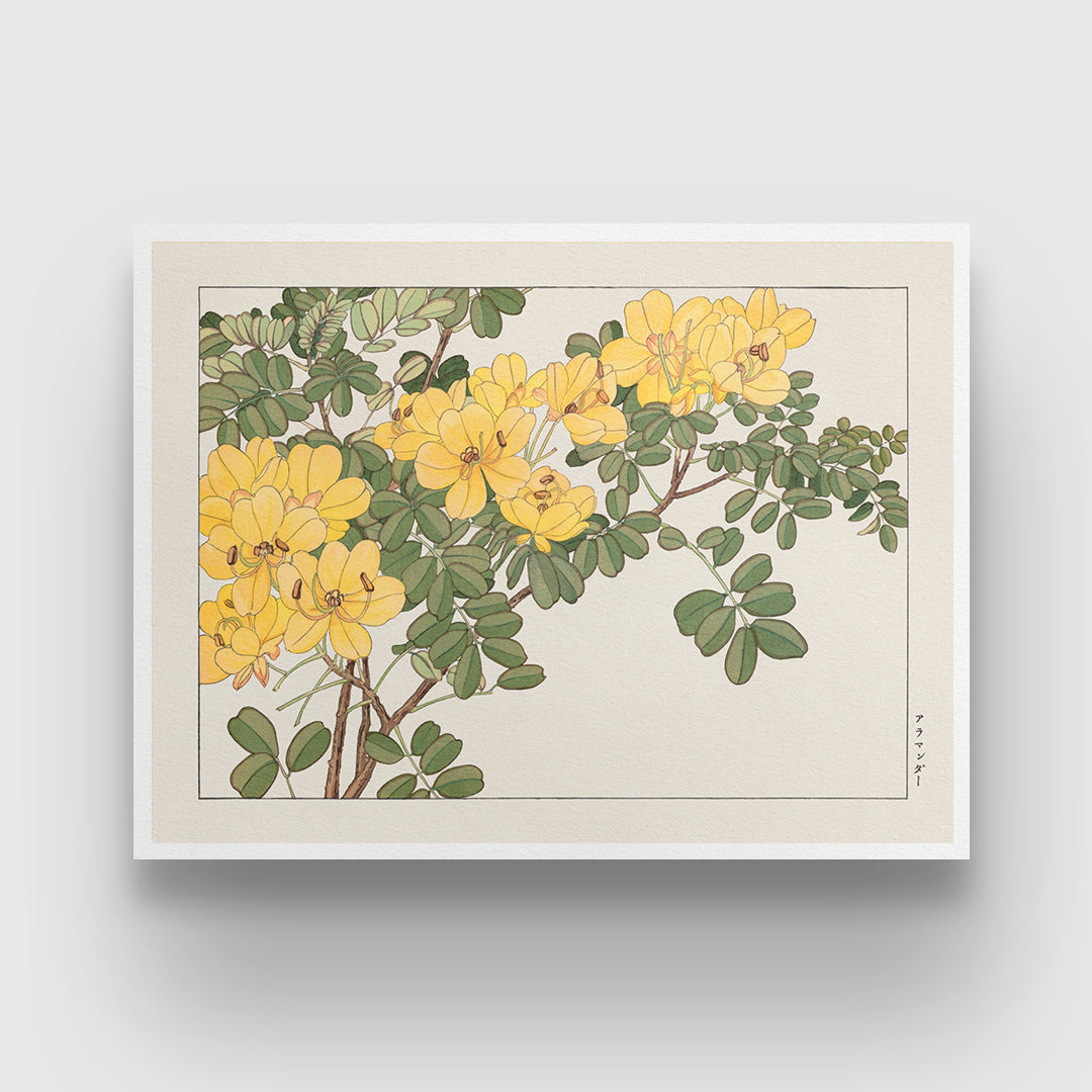 Allamanda flower,Japanese woodblock art 3 : 4 Horizontal New Premium Wall Art Canvas by MeriDeewar