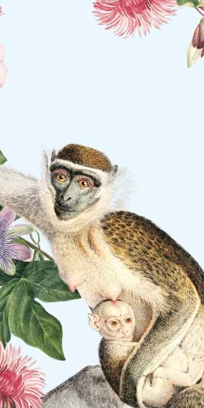 Animal Paintings