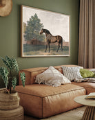 Antique Bay Horse Painting 3 : 4 Horizontal New Premium Wall Art Canvas by MeriDeewar