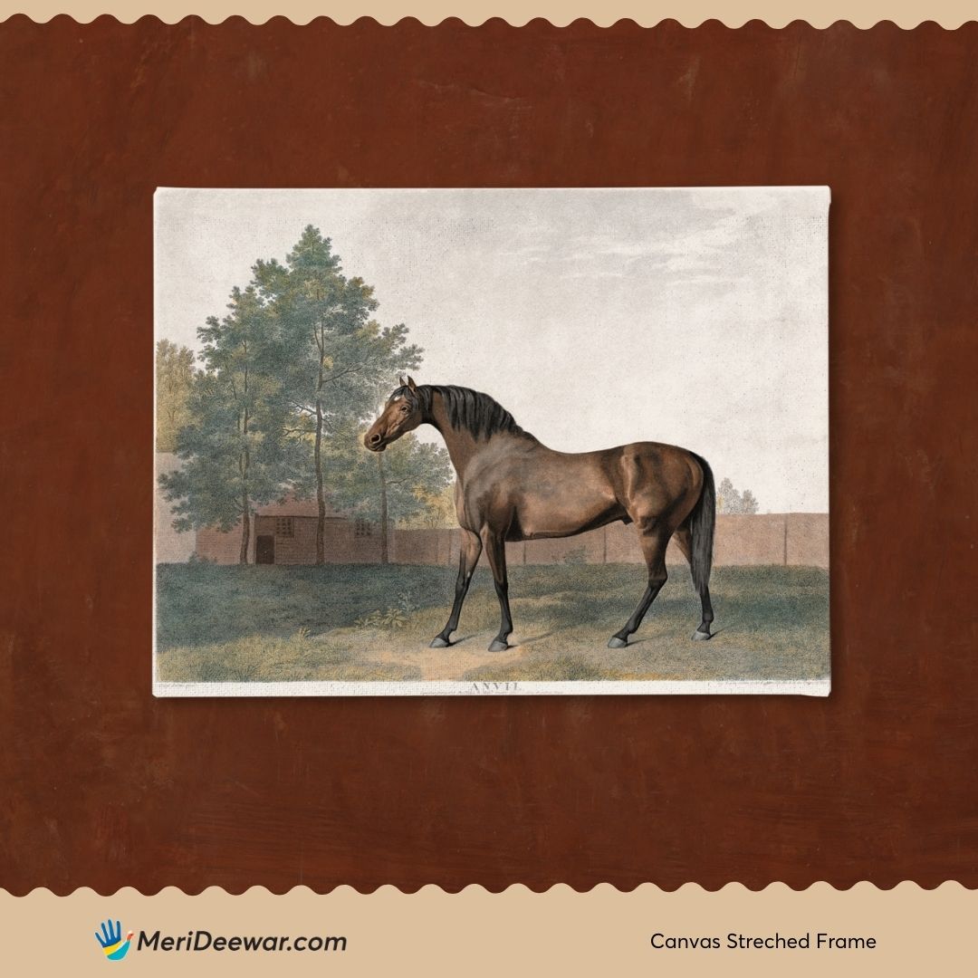 Antique Bay Horse Painting 3 : 4 Horizontal New Premium Wall Art Canvas by MeriDeewar
