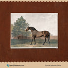Antique Bay Horse Painting 3 : 4 Horizontal New Premium Wall Art Canvas by MeriDeewar
