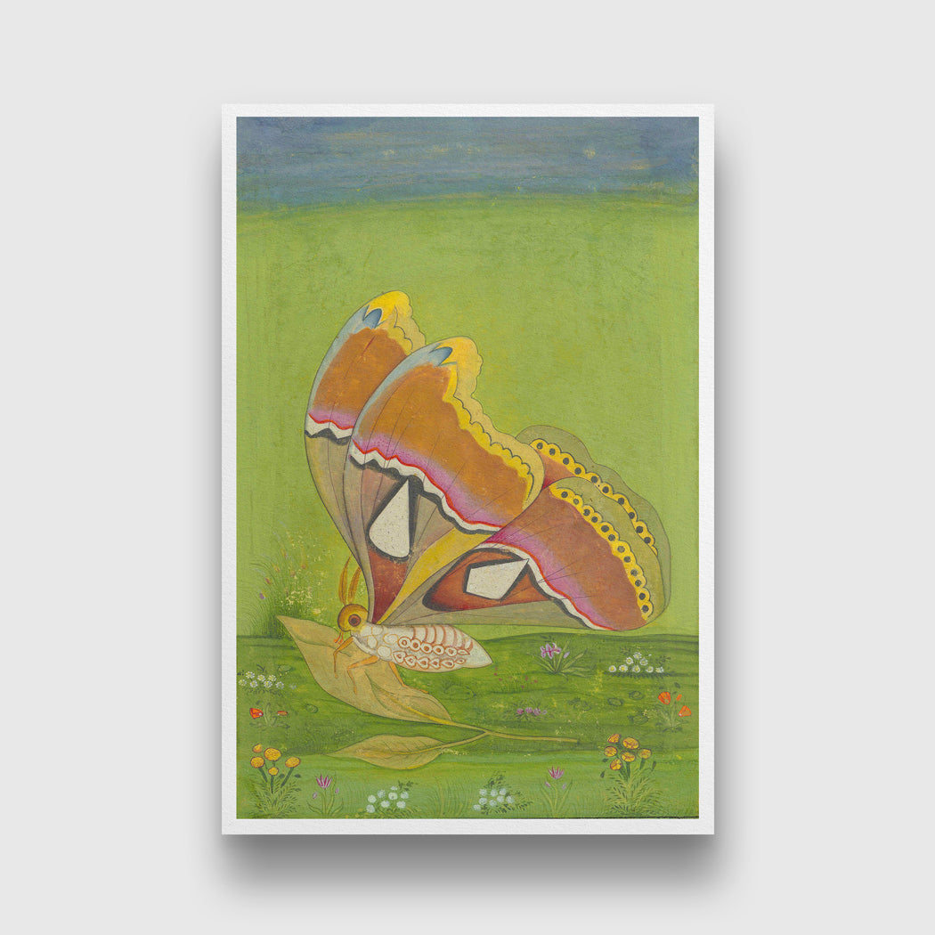 Antique Dutch Butterfly Painting 2 : 3 Vertical Premium Wall Art Canvas by MeriDeewar