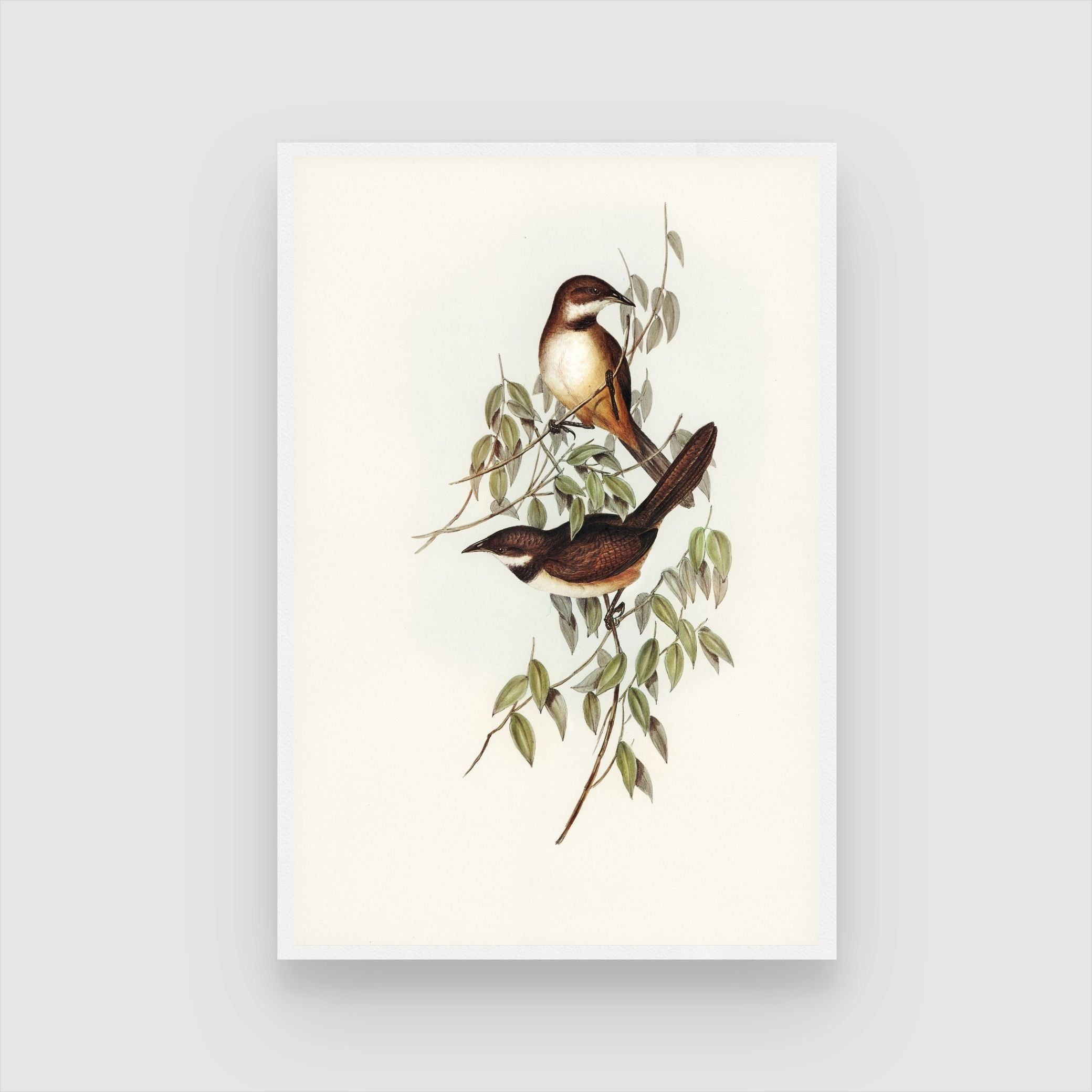 Beautiful Bird Painting - Nature-Inspired Home Decor | MeriDeewar 2 : 3 Vertical Premium Wall Art Canvas by MeriDeewar