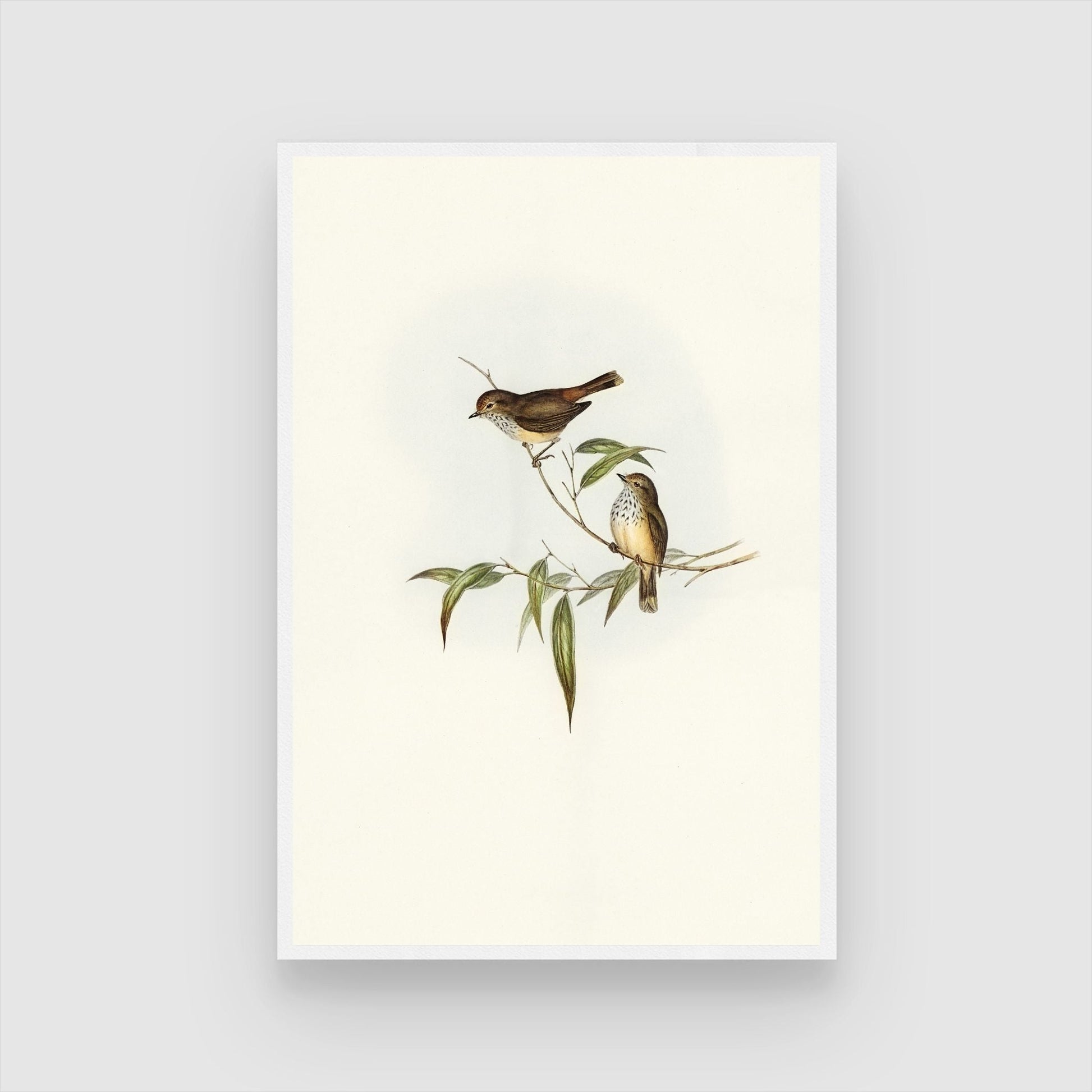 Beautiful Bird Painting: Vibrant Wall Art for Your Home 2 : 3 Vertical Premium Wall Art Canvas by MeriDeewar