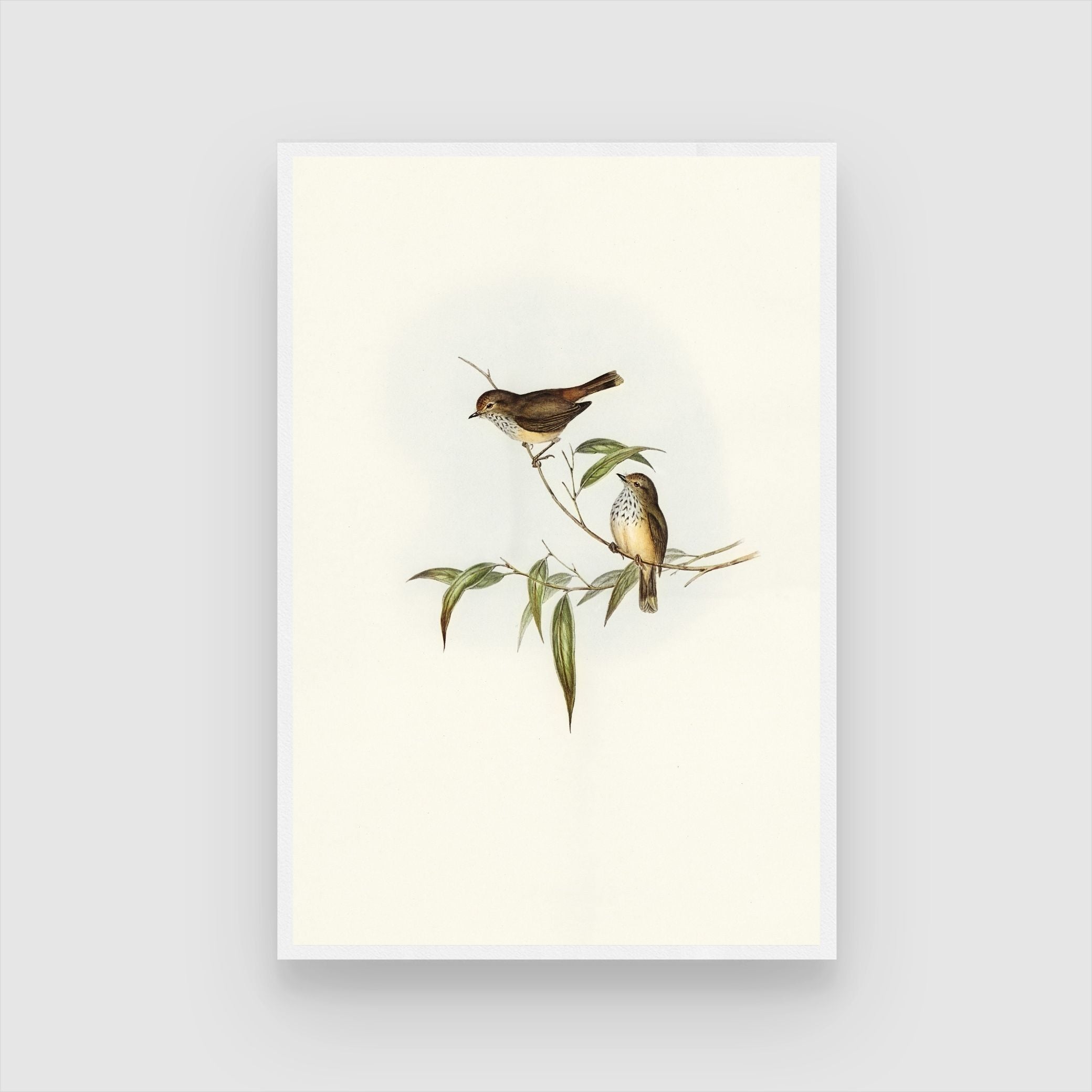 Beautiful Bird Painting: Vibrant Wall Art for Your Home 2 : 3 Vertical Premium Wall Art Canvas by MeriDeewar