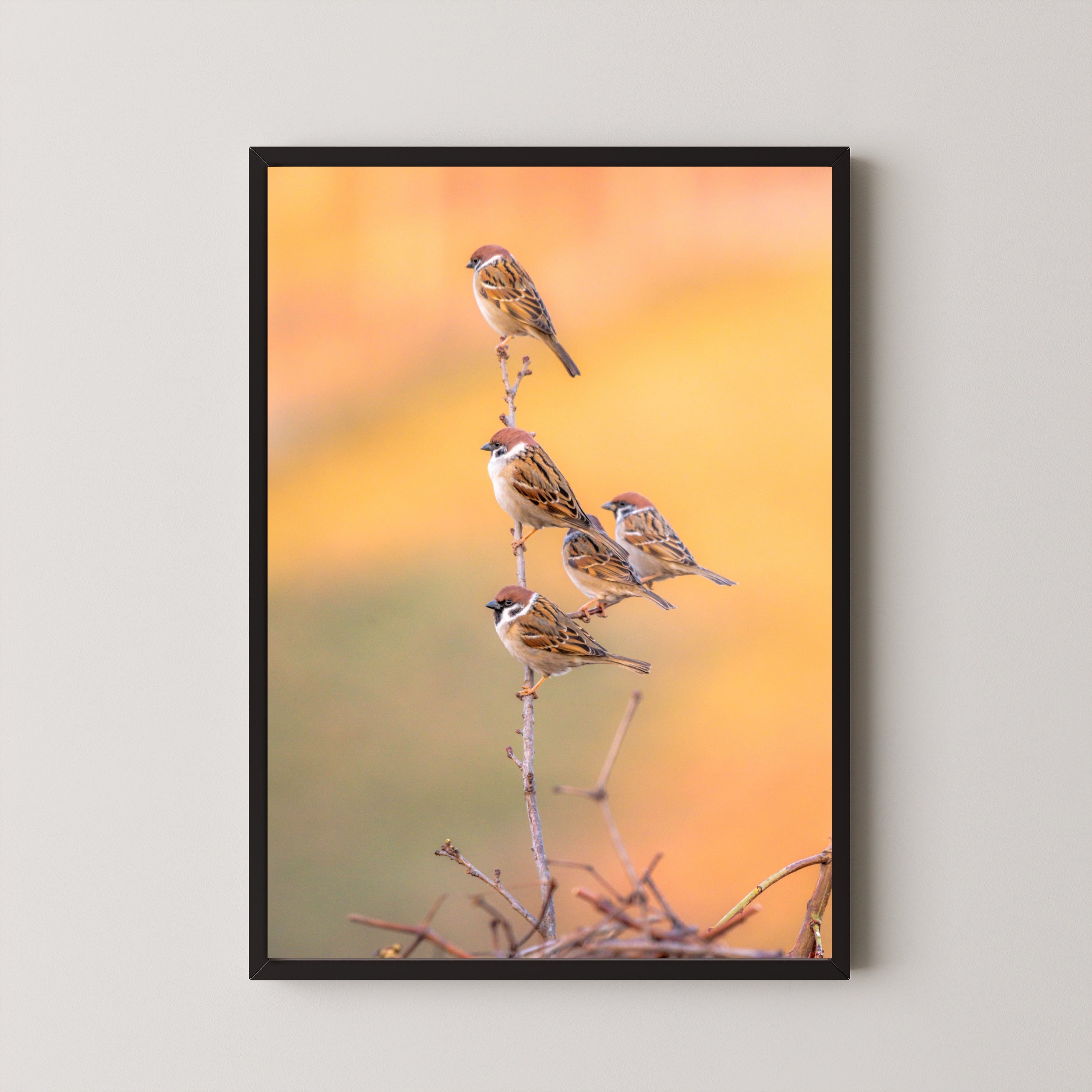 Beautiful Flock of Sparrows - Nature Art | MeriDeewar 3 : 4 Vertical New Premium Wall Art Canvas by MeriDeewar