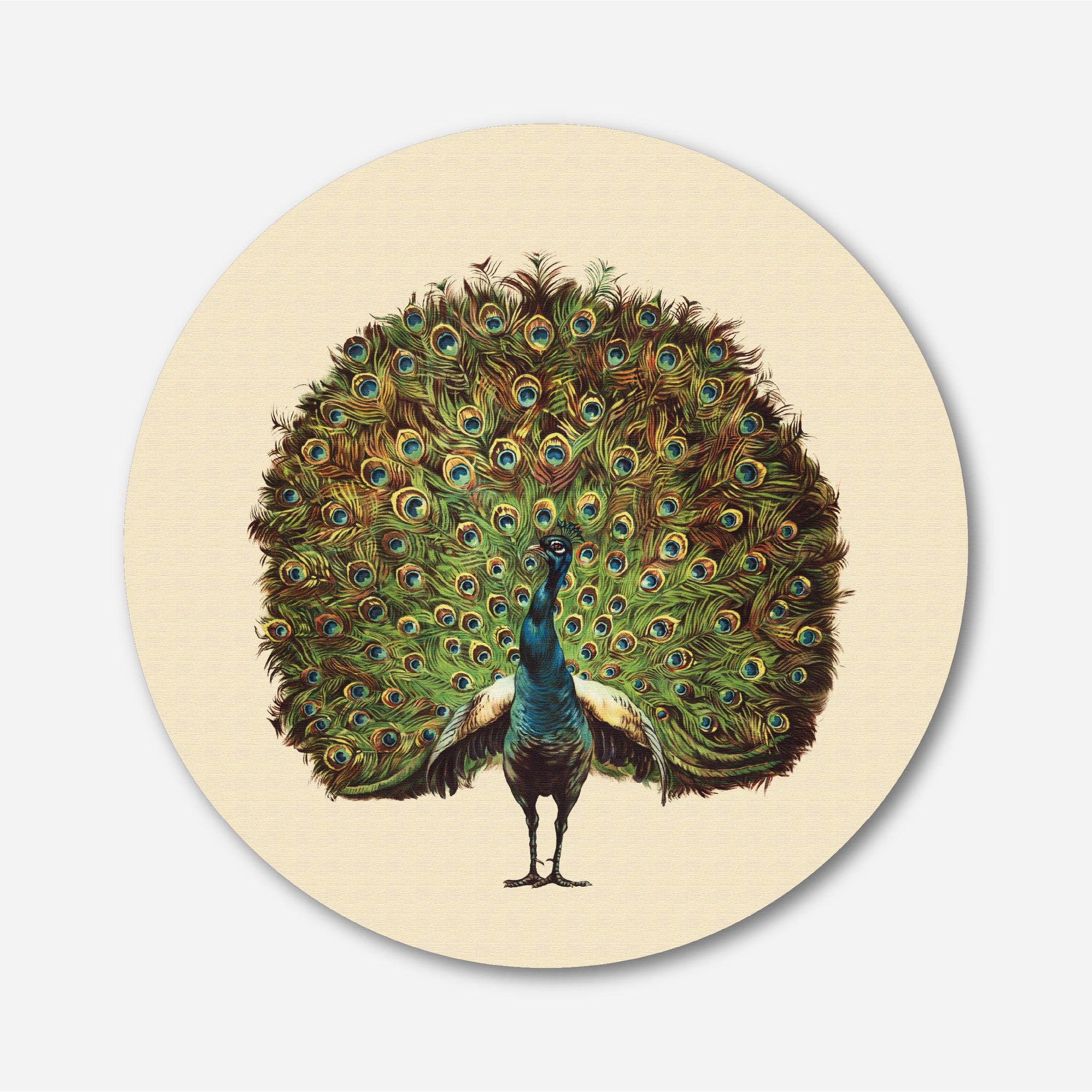 Beautiful peacock Circular Canvas Frame Circular Canvas Frame Premium Wall Art Canvas by MeriDeewar