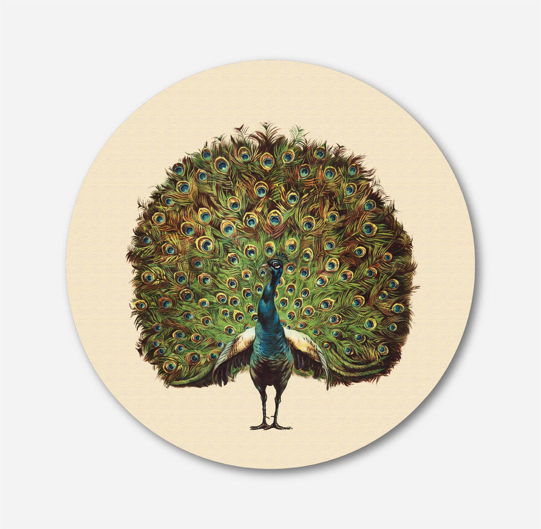 Beautiful peacock Circular Canvas Frame Circular Canvas Frame Premium Wall Art Canvas by MeriDeewar