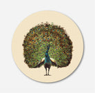 Beautiful peacock Circular Canvas Frame Circular Canvas Frame Premium Wall Art Canvas by MeriDeewar