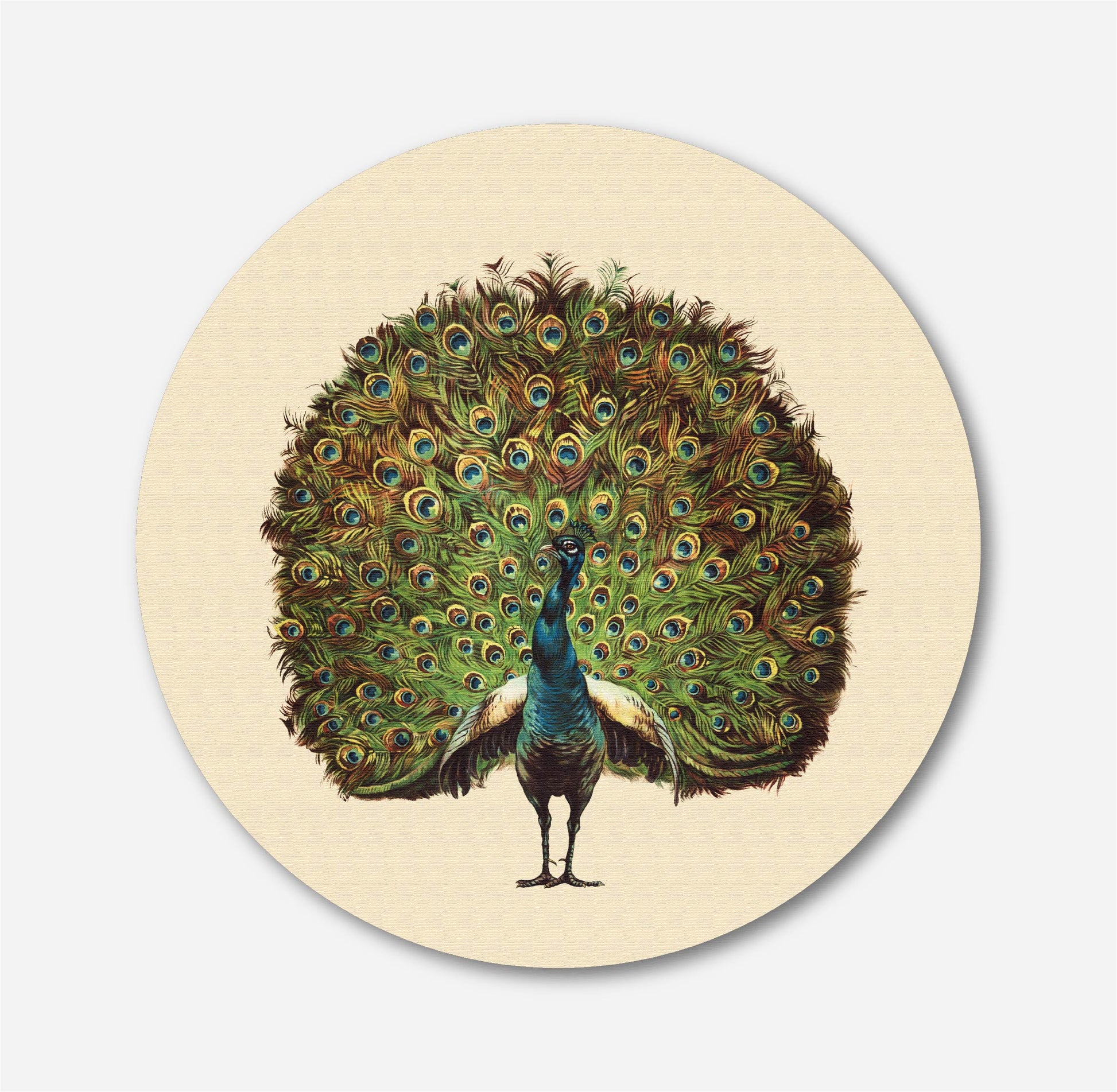 Beautiful peacock Circular Canvas Frame Circular Canvas Frame Premium Wall Art Canvas by MeriDeewar