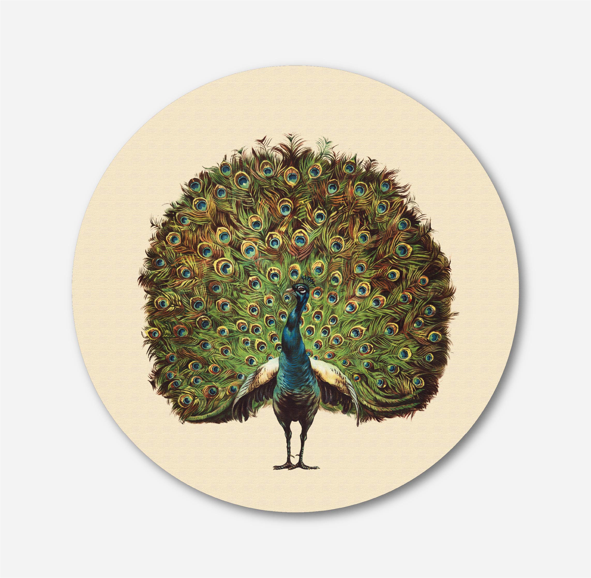Beautiful peacock Circular Canvas Frame Circular Canvas Frame Premium Wall Art Canvas by MeriDeewar