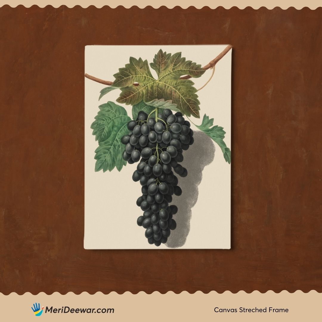 Black Grapes Vintage artwork 3 : 4 Vertical New Premium Wall Art Canvas by MeriDeewar