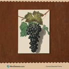Black Grapes Vintage artwork 3 : 4 Vertical New Premium Wall Art Canvas by MeriDeewar