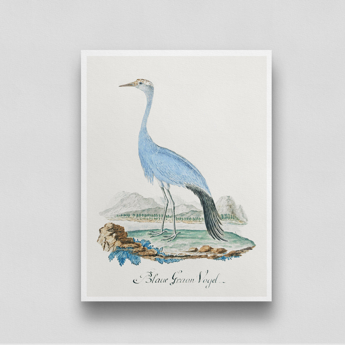 Blue Crane Bird Vintage Painting 3 : 4 Vertical New Premium Wall Art Canvas by MeriDeewar