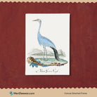 Blue Crane Bird Vintage Painting 3 : 4 Vertical New Premium Wall Art Canvas by MeriDeewar