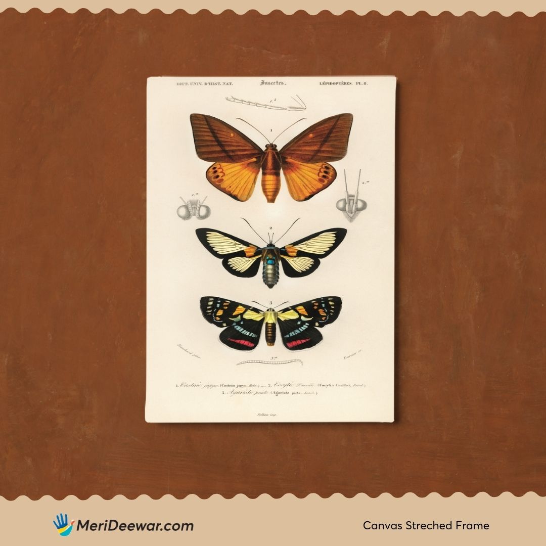 Butterflies Artwork 2 3 : 4 Vertical New Premium Wall Art Canvas by MeriDeewar