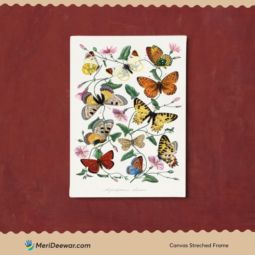 Butterflies Artwork 3 : 4 Vertical New Premium Wall Art Canvas by MeriDeewar