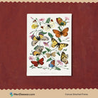 Butterflies Artwork 3 : 4 Vertical New Premium Wall Art Canvas by MeriDeewar