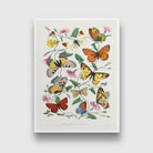 Butterfly & Moth by Paul Gervais 3 : 4 Vertical New Premium Wall Art Canvas by MeriDeewar