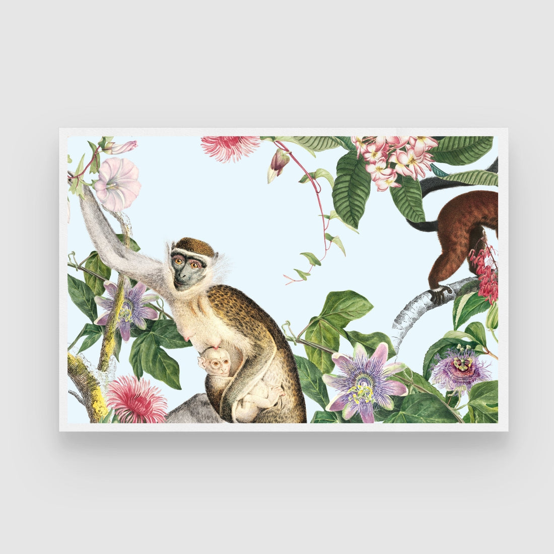 Capuchin Among Succulents — Tropical Botanical Canvas 2 : 3 Horizontal Premium Wall Art Canvas by MeriDeewar