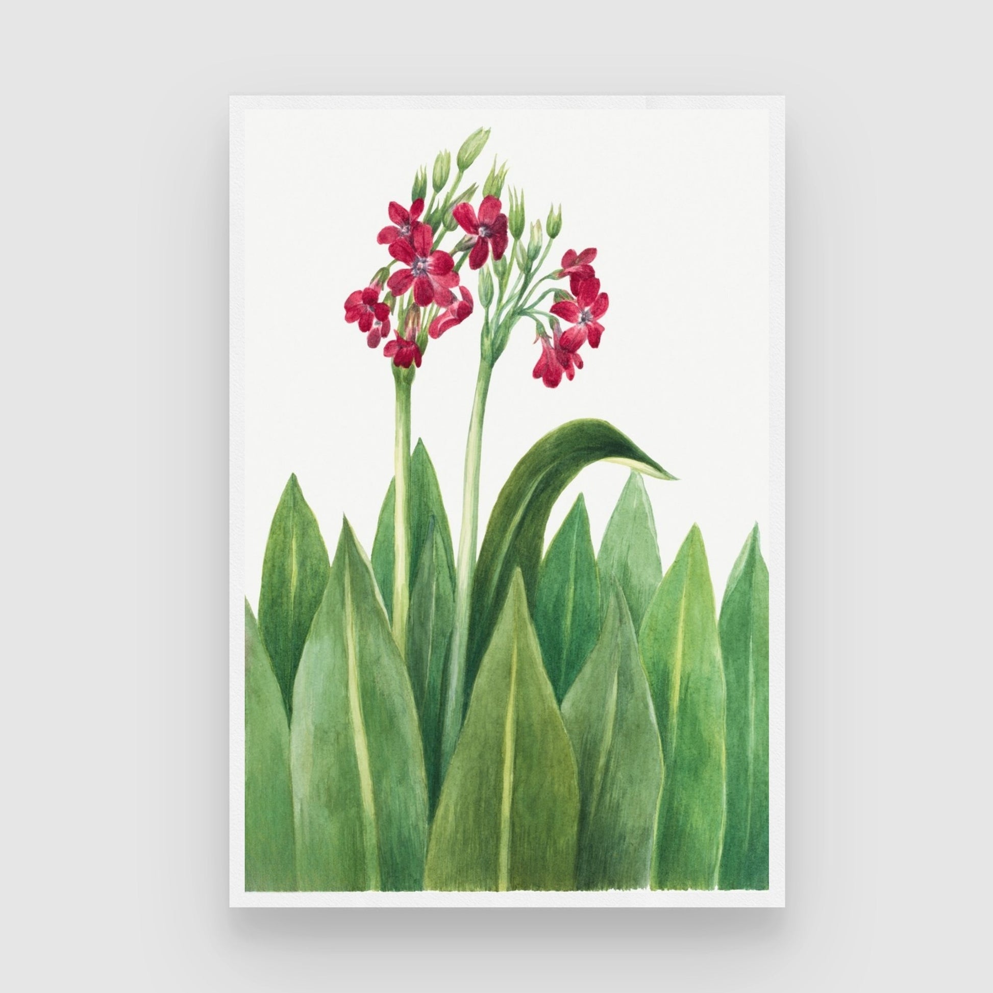 Crimson Canopy – Vibrant Botanical Wall Art Print 2 : 3 Vertical Premium Wall Art Canvas by MeriDeewar