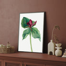 Crimson Grace – Elegant Botanical Wall Art Print 2 : 3 Vertical Premium Wall Art Canvas by MeriDeewar