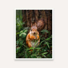 Cute Squirrel in Forest Nature Painting for Living Room | Wall Art for Home Decor 4 :5 Vertical Premium Wall Art Canvas by MeriDeewar