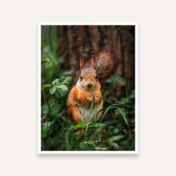 Cute Squirrel in Forest Nature Painting for Living Room | Wall Art for Home Decor 4 :5 Vertical Premium Wall Art Canvas by MeriDeewar