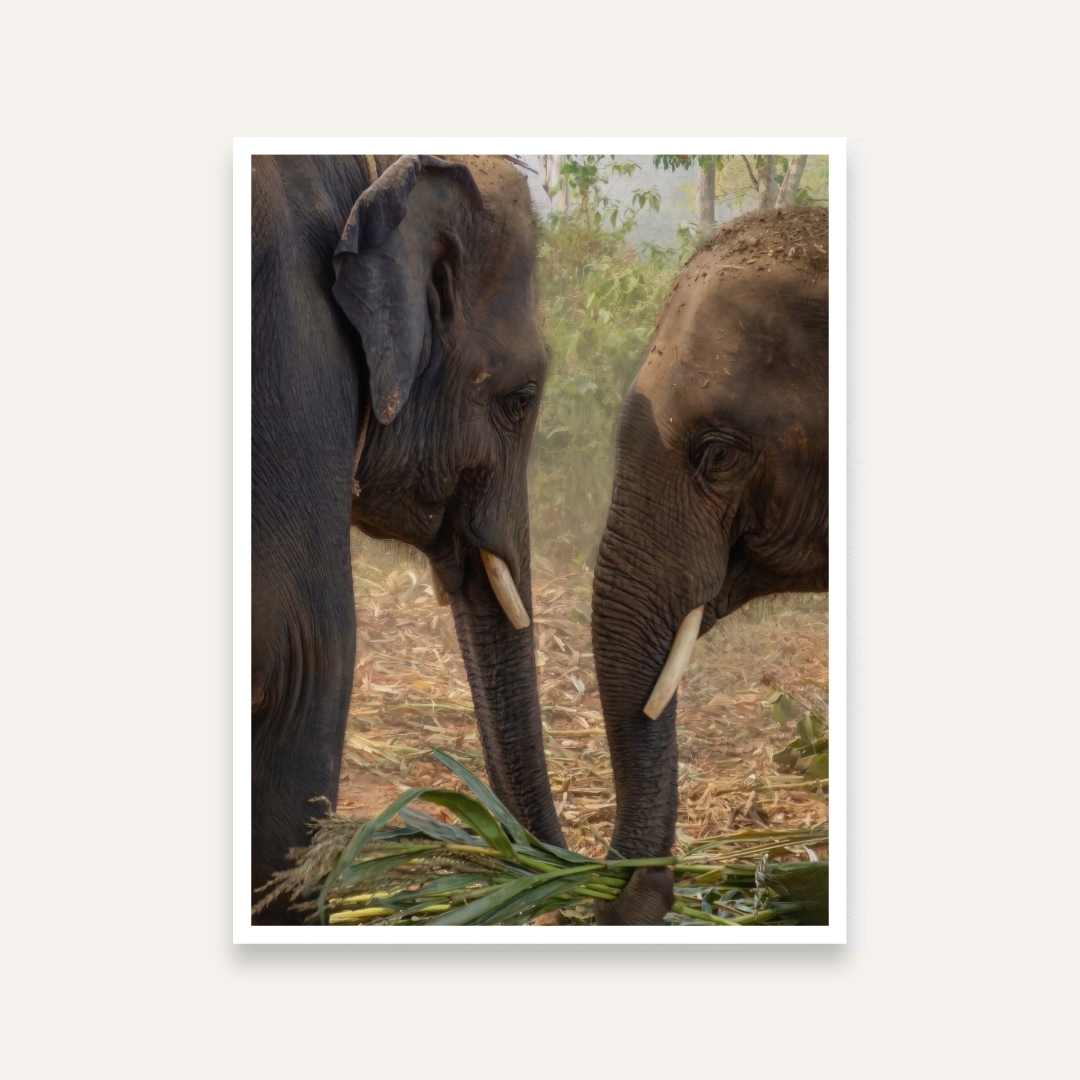 Elephant Mother & Calf Painting for Living Room | Wildlife Wall Art for Home Decor 4 :5 Vertical Premium Wall Art Canvas by MeriDeewar