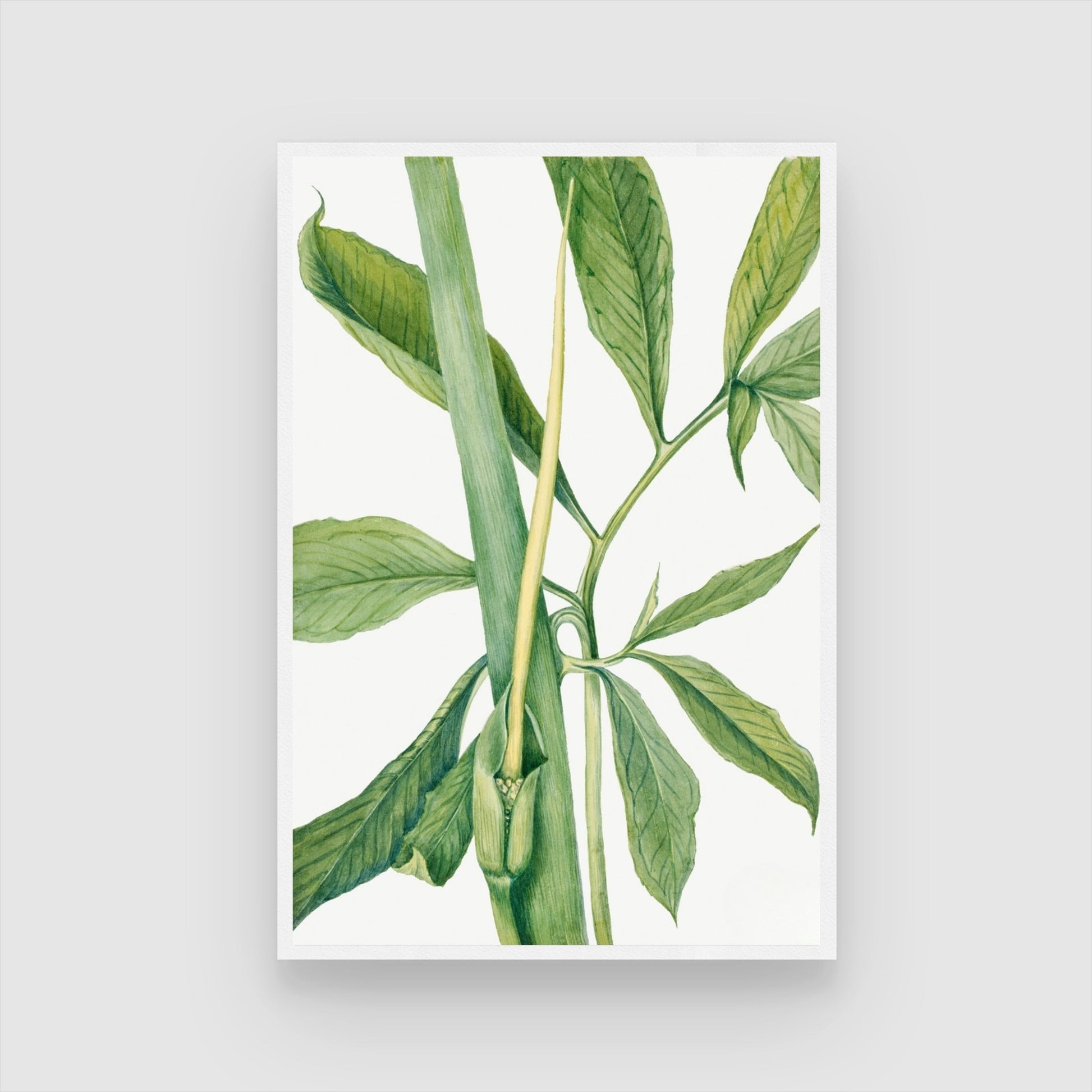 Emerald Veins – Botanical Leaf Wall Art Print 2 : 3 Vertical Premium Wall Art Canvas by MeriDeewar